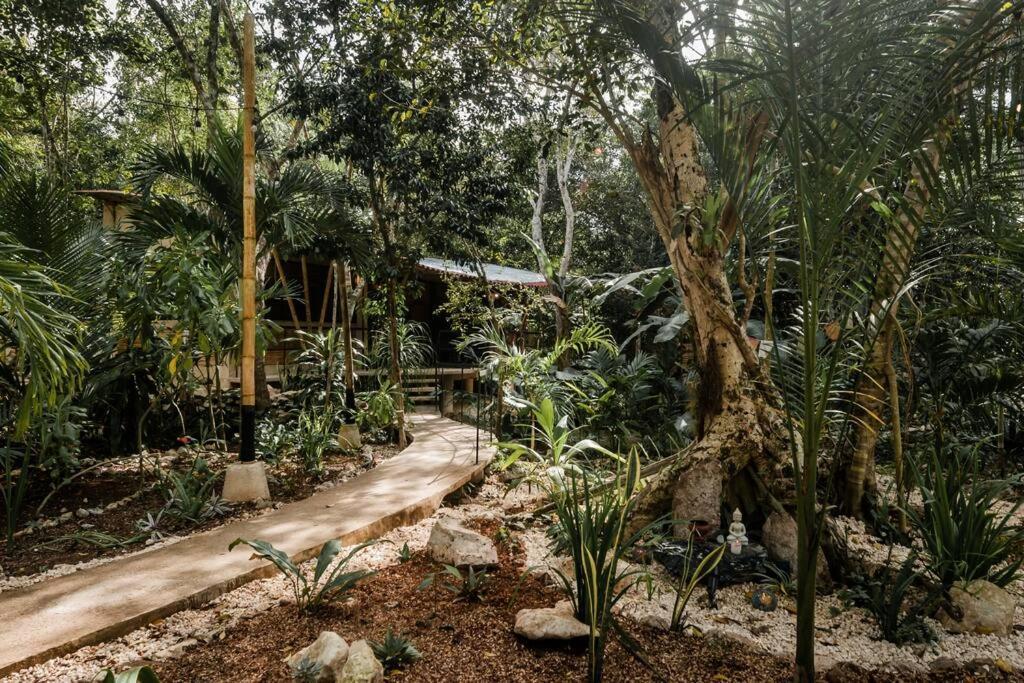 Zen Canto Tuuch :: May The Jungle Be With You Ferienhaus