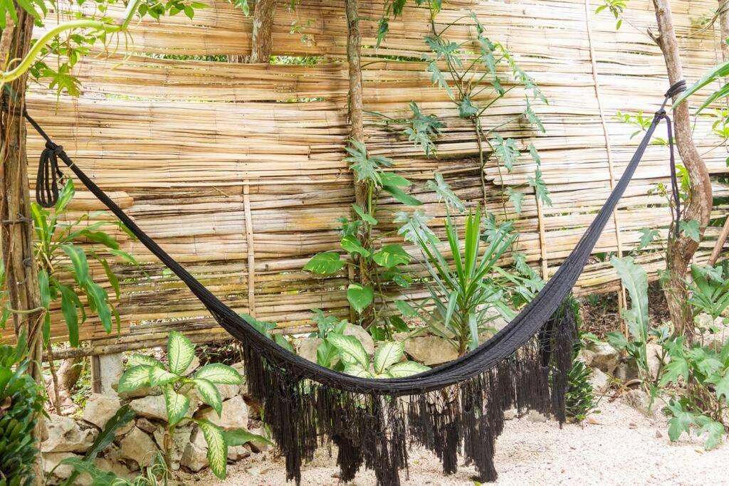 Zen Canto Tuuch :: May The Jungle Be With You Ferienhaus Tulum