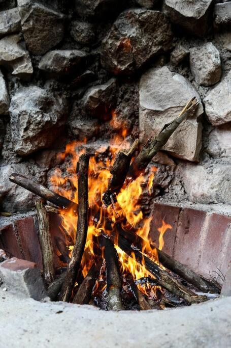 Ferienhaus Zen Canto Tuuch :: May The Jungle Be With You