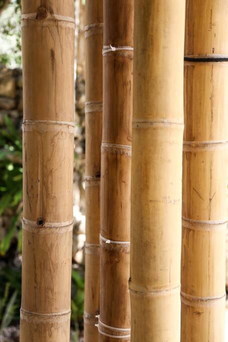 Ferienhaus Zen Canto Tuuch :: May The Jungle Be With You Tulum