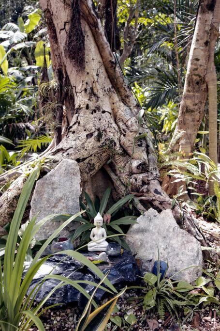 Zen Canto Tuuch :: May The Jungle Be With You Ferienhaus