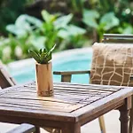 Zen Canto Villa Tuuch :: May The Jungle Be With You