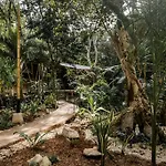 Zen Canto Villa Tuuch :: May The Jungle Be With You